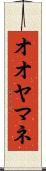 オオヤマネ Scroll