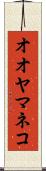 オオヤマネコ Scroll