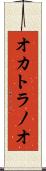 オカトラノオ Scroll