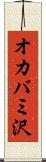 オカバミ沢 Scroll