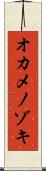 オカメノゾキ Scroll