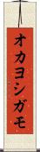 オカヨシガモ Scroll