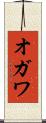 オガワ Scroll