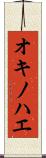 オキノハエ Scroll