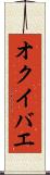 オクイバエ Scroll