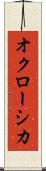 オクローシカ Scroll