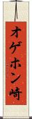 オゲホン崎 Scroll