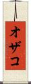 オザコ Scroll