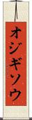 オジギソウ Scroll