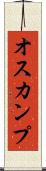 オスカンプ Scroll