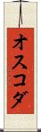 オスコダ Scroll