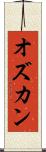 オズカン Scroll