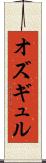 オズギュル Scroll