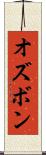 オズボン Scroll