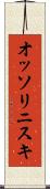 オッソリニスキ Scroll