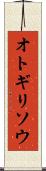 オトギリソウ Scroll