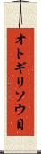 オトギリソウ目 Scroll
