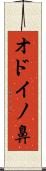 オドイノ鼻 Scroll