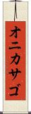 オニカサゴ Scroll