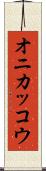 オニカッコウ Scroll