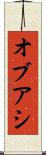 オブアシ Scroll
