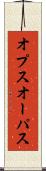オプス Scroll
