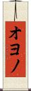 オヨノ Scroll