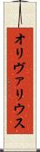 オリヴァリウス Scroll