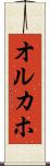オルカホ Scroll