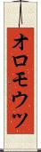 オロモウツ Scroll