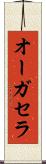 オーガセラ Scroll