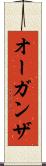 オーガンザ Scroll