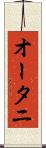 オータニ Scroll