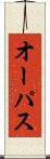 オーパス Scroll