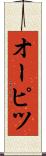 オーピツ Scroll