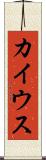 カイウス Scroll