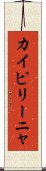 カイピリーニャ Scroll