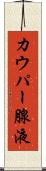 カウパー腺液 Scroll