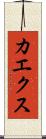 カエクス Scroll