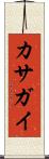 カサガイ Scroll