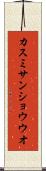 カスミサンショウウオ Scroll