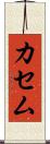 カセム Scroll
