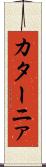 カターニァ Scroll