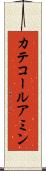カテコールアミン Scroll