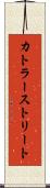 カトラーストリート Scroll