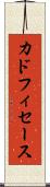 カドフィセース Scroll