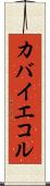 カバイエコル Scroll