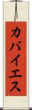 カバイエス Scroll