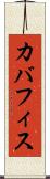 カバフィス Scroll