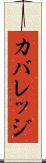 カバレッジ Scroll
